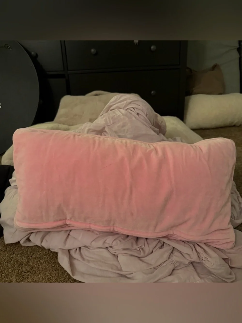 Pottery Barn Kids Pillow